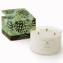 Roland Pine 3 Wick Candle
