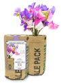Sweet Pea Grow Kit
