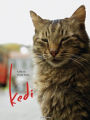 Kedi