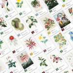 Alternative view 3 of Botany: A Victorian Expedition by Amy Droz and Dusty Droz