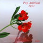 Pop Ambient 2012