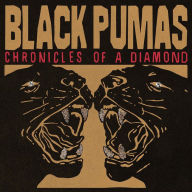 Title: Chronicles of a Diamond, Artist: Black Pumas
