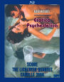 Radley Metzger's Erotica Psychedelica