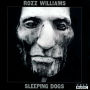 Sleeping Dogs