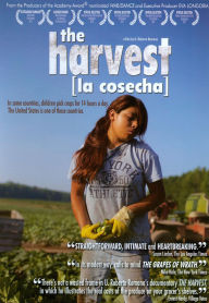 Harvest/La Cosecha