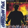 Das Flexperiment