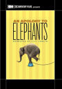 An Apology to Elephants