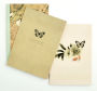 Notebook Medium (3pk) - Belle