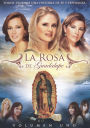 Rosa De Guadalupe 1