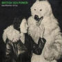 Machineries Of Joy (British Sea Power)