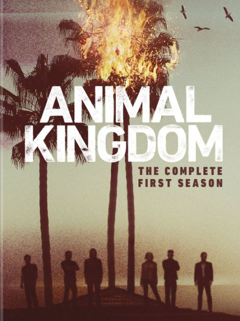 Animal Kingdom: the Complete First Season | DVD | Barnes & Noble®