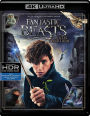 Fantastic Beasts and Where to Find Them [4K Ultra HD Blu-ray/Blu-ray]