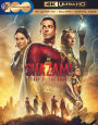 Shazam! Fury of the Gods [Includes Digital Copy] [4K Ultra HD Blu-ray/Blu-ray]