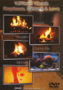 VJworld Visuals: Fireplaces, Fishtank and Lava
