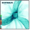 Seed