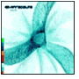 Seed