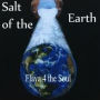 Flava 4 the Soul