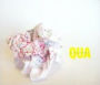 Qua