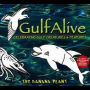 Gulf Alive