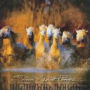 Seven White Ponies