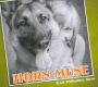 Horn Muse