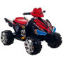 Lil' Rider Pro Circuit Hero 4 Wheeler