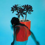 Title: Sunlit Youth [LP], Artist: Local Natives