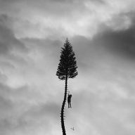 Title: A Black Mile to the Surface, Artist: Manchester Orchestra