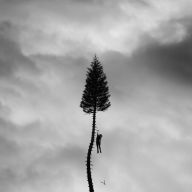 Title: A Black Mile to the Surface, Artist: Manchester Orchestra