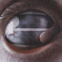 Crazy Eyes