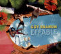 Effable