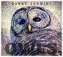 Owls