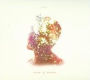 Bloom & Breathe