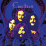 Ultra Sonic Boogie: Live 1971