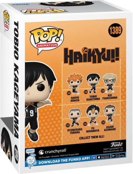 POP Animation: Haikyu!- Kageyama