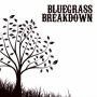 Bluegrass Breakdown