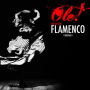 Ole! Art of the Flamenco