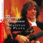 Flamenco