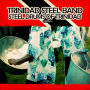 Steel Drums of Trinidad