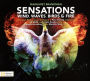 Margaret Bradman: Sensations