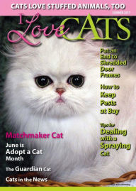 I Love Cats - One Year Subscription