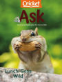 Ask - One Year Subscription