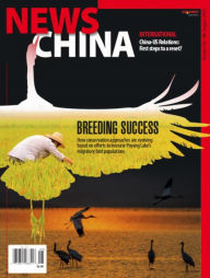 Title: News China - One Year Subscription, Author: 