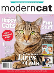 Modern Cat - Two Years Subscription