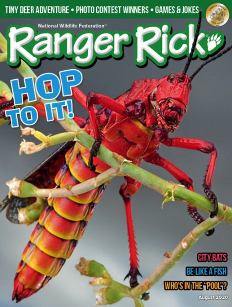 ranger rick stuffed animal