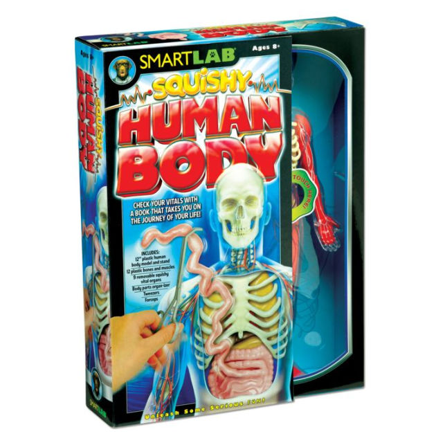 Squishy Human Body by SmartLab Toys Barnes & Noble®