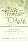 Visits from Beyond the Veil: True Stories of Angelic Visitations