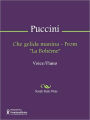 Che gelida manina - From