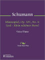Minnespiel, Op. 101, No. 4: Lied - Mein schoner Stern!