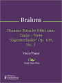 Brauner Bursche fuhrt zum Tanze - From